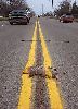 Painted road kill