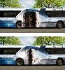 The shark bus