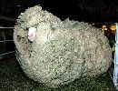 Sheering needed