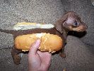 The real hot-dog