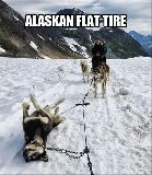 Alaskan flat tire